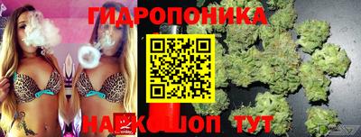 альфа пвп Лесосибирск