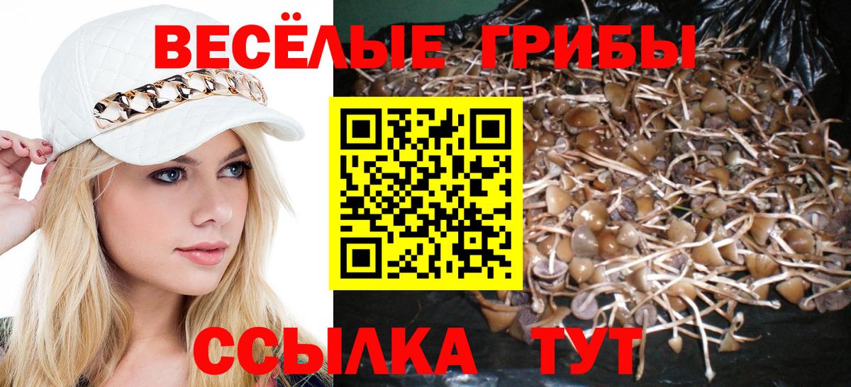 Псилоцибиновые грибы Cubensis Долгопрудный